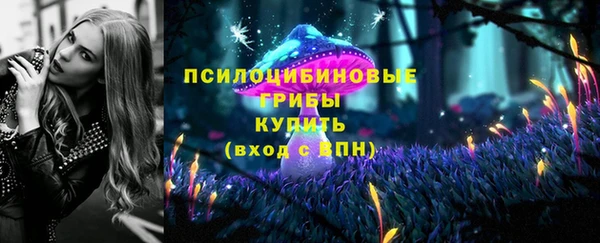 2c-b Карталы