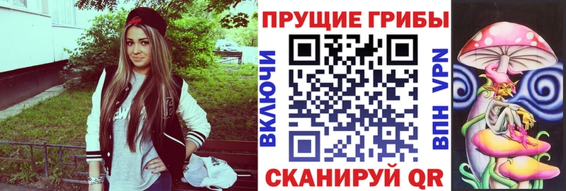 Псилоцибиновые грибы Cubensis  Купить закладки  Губкинский 