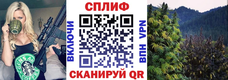 Купить закладки  Губкинский  Канабис гибрид 